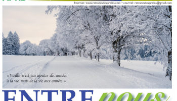 Capture d’écran 2026-02-12 095822